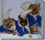 BEST Halloween Pet Costumes Funny Animal Costume Ideas for Dogs and Cats unique holloween top ever pets (20)