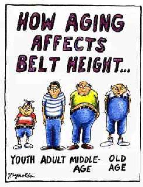 Aging_and_Belt_Height