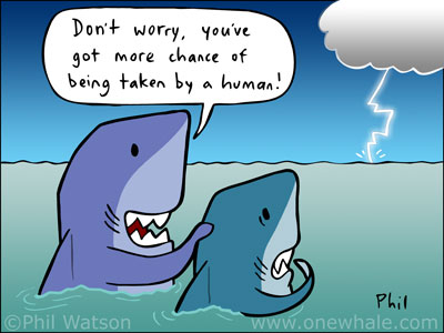shark-lightning-facts