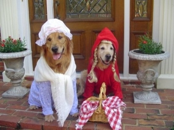 BEST Halloween Pet Costumes: Funny Animal Costume Ideas for Dogs and ...