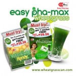 Health is Wealth with the 10+1 Wheatgrass Value Pack  