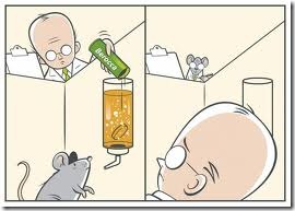 Berocca-smart-rat